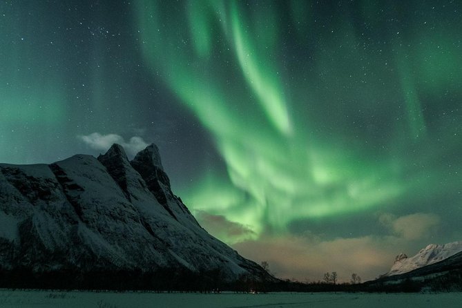 Minibus Northern Lights Chase with Photography from Tromsø - A minibus group with room for personal help