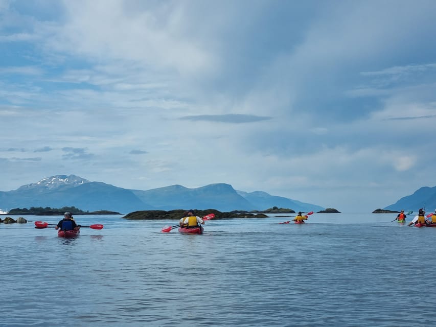 Molde - Guided kayak tour - Is $131 a fair price?