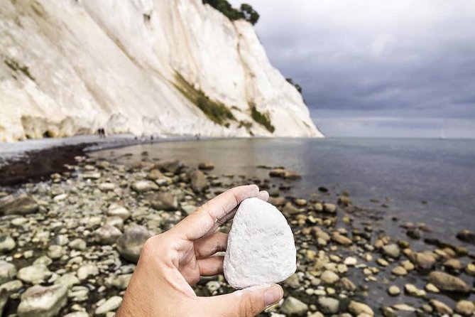 Møns klint and The Forest tower - A day tour from Copenhagen - Should you book the Møns Klint and Forest Tower tour?