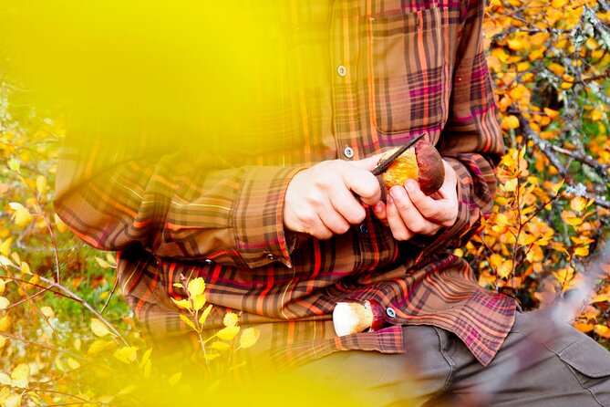 Mushroom Hunting in a National Park - Learning what belongs in your basket