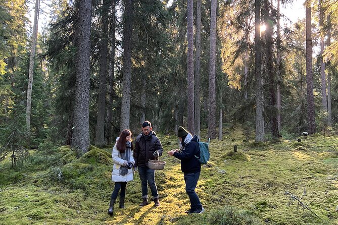 Mushroom Hunting in a National Park - How much value do you get for $186.22?