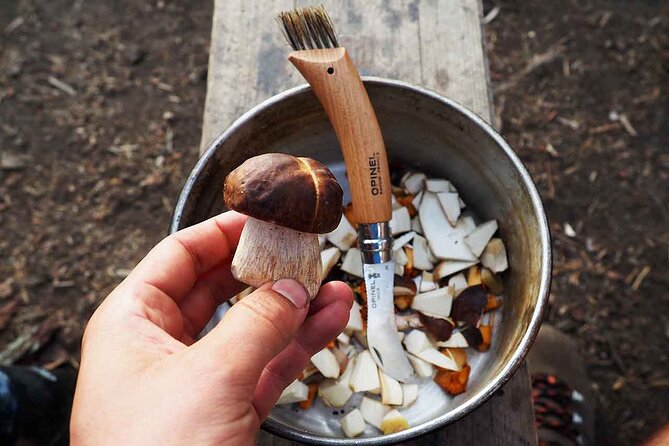 Mushroom Hunting in a National Park - Practical details that can make the day better