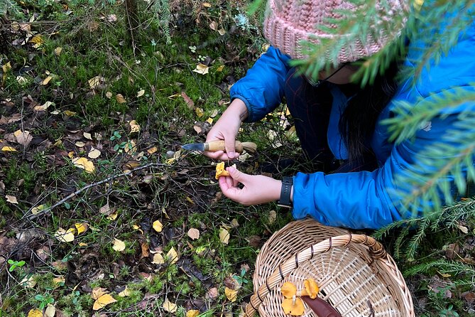 Mushroom Hunting in a National Park - My take on the forest, food, and pace