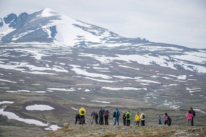 Musk ox Safari in Dovrefjell National Park, Oppdal Safari - Group size and the pace of the day