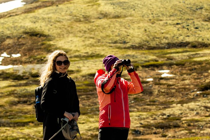 Muskox Safari from Hjerkinn | Dovre & Lesja Aktiv - How challenging is the hike?