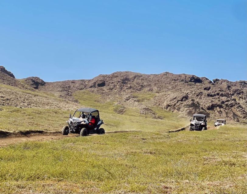 Mývatn: Lake Mývatn ATV Guided Safari Experience - What the guides add to the experience