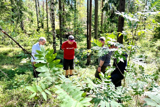 National Park Hike & Finnish Smoke Sauna Experience with Campfire Lunch - Timing, comfort, and what to pack