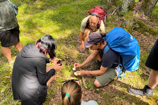 National Park Hike & Finnish Smoke Sauna Experience with Campfire Lunch - The guides shape the day