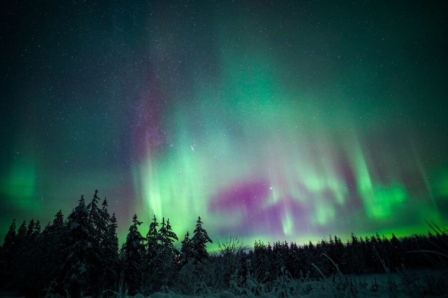 Night Snowshoeing Adventure under the Northern Lights - Key points at a glance