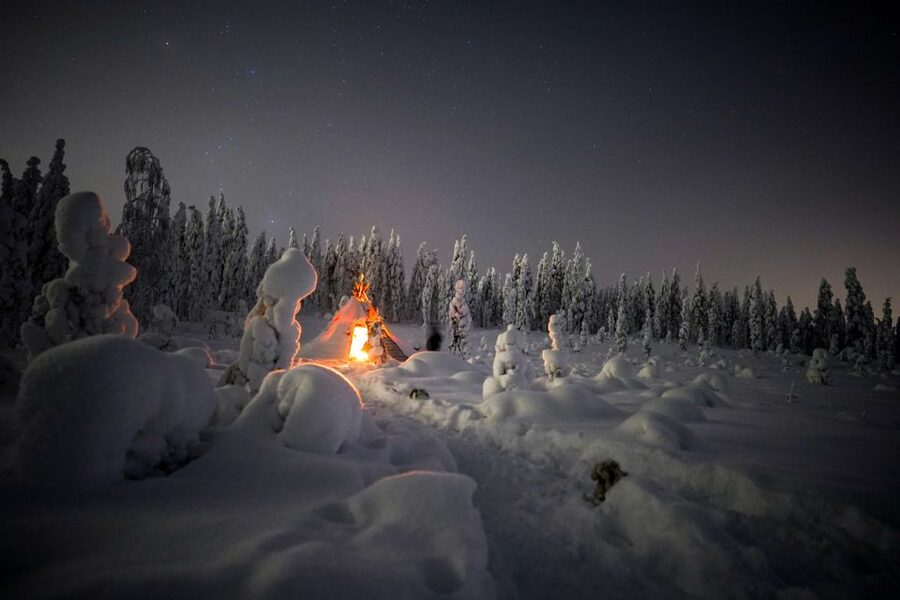 Night Snowshoeing Adventure under the Northern Lights - Who should book this outing
