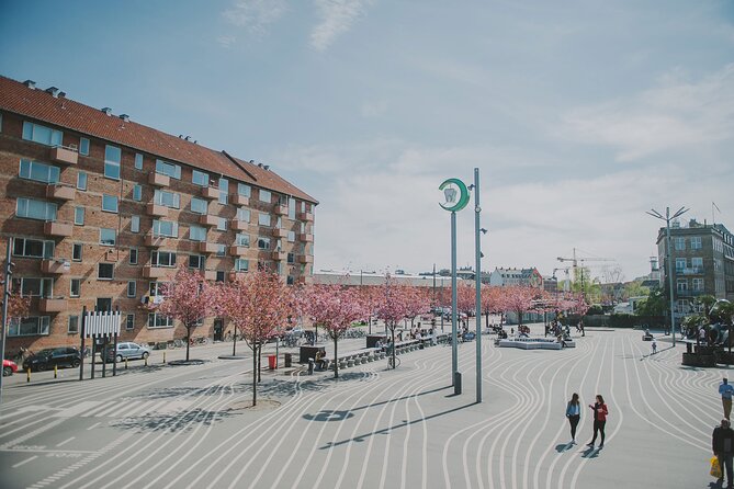 Nørrebro Neighborhood Tour - Five useful things to know before you book