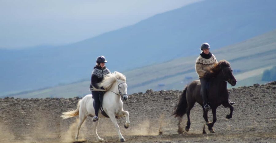 North Iceland: Horseback Riding Tour - Why this route feels like North Iceland in miniature
