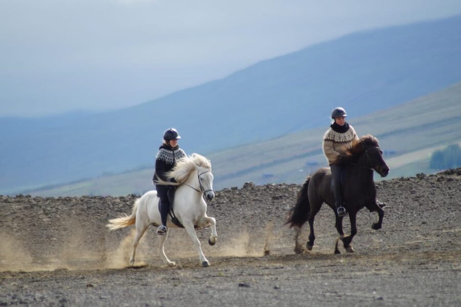 North Iceland: Horseback Riding Tour - Leaving the farm for the river