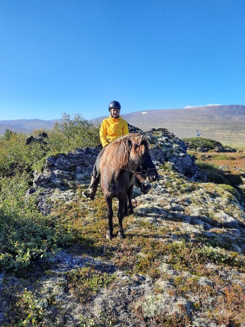 North Iceland: Horseback Riding Tour - Returning through the birch forest
