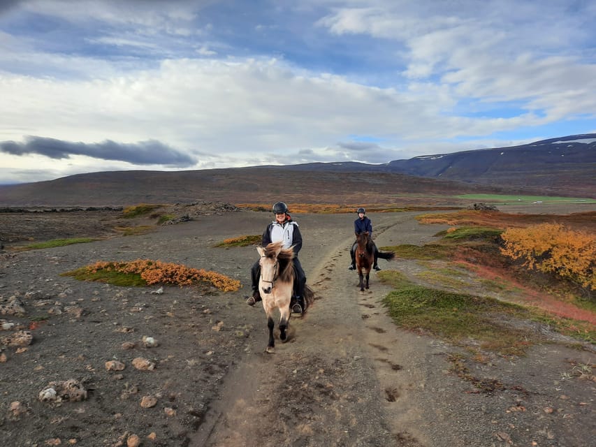 North Iceland: Horseback Riding Tour - What the guides add to the ride