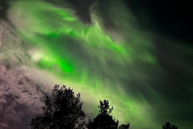 Northern Light hunt with minibus to Abisko 7:30 pm - Hot drinks and small comforts