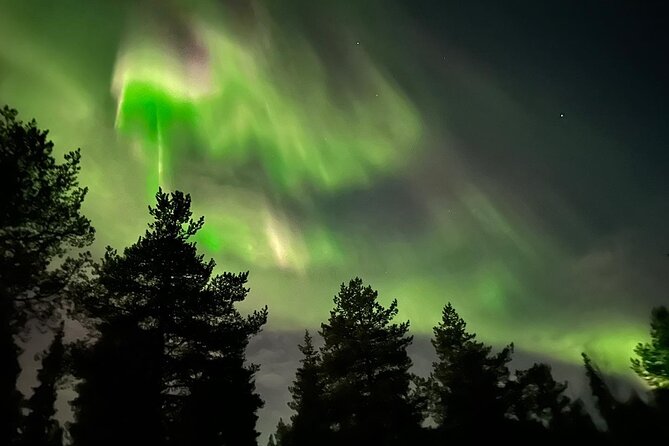 Northern Light hunt with minibus to Abisko 7:30 pm - The real value of the $253 price