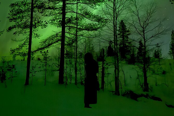 Northern Lights Adventure in the Wild with Campfire Treats - Watching the sky from reindeer hides