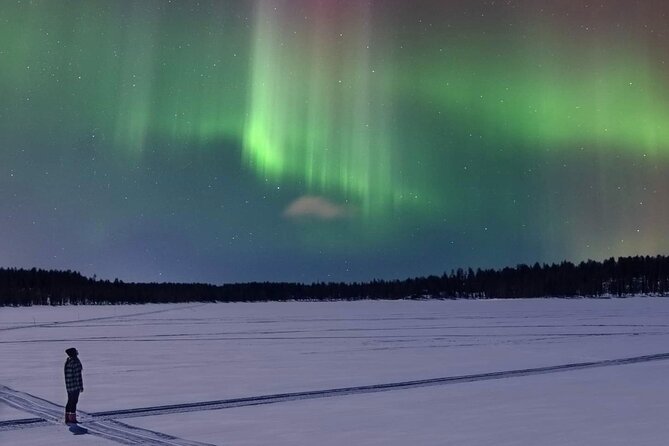 Northern Lights Adventure in the Wild with Campfire Treats - Cancellation and booking details