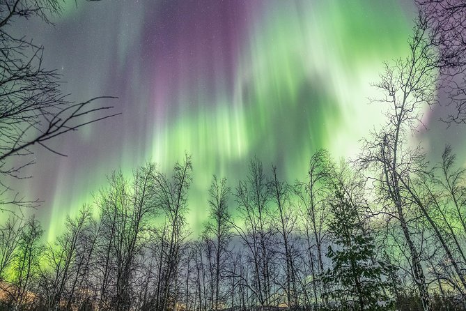 Northern Lights Adventure with Greenlander, 8 people max - What the first stop feels like when the lights appear