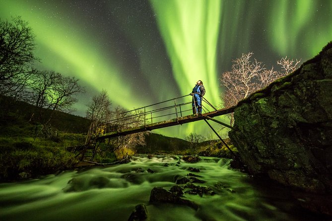 Northern Lights Adventure with Greenlander, 8 people max - Campfire food makes the cold easier