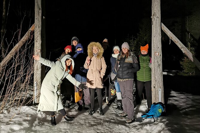 Northern Lights Auroras from Kemi-Tornio with Pickup - What the photography lesson adds