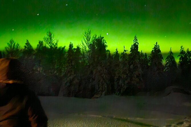 Northern Lights Auroras from Kemi-Tornio with Pickup - Price, group size, and overall value