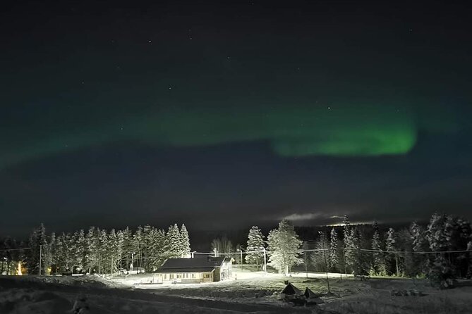 Northern Lights Auroras from Kemi-Tornio with Pickup - Cold, snow, and mobility concerns