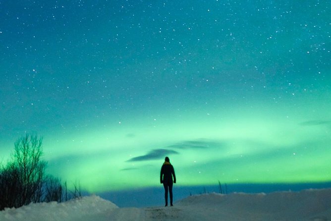 Northern Lights Bus Tour from Reykjavik with Hot Chocolate - Hot chocolate, waiting, and the cold