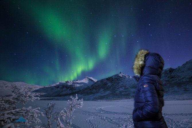 - Northern Lights Chase with Photo Package Included - Chasing the aurora instead of waiting for it