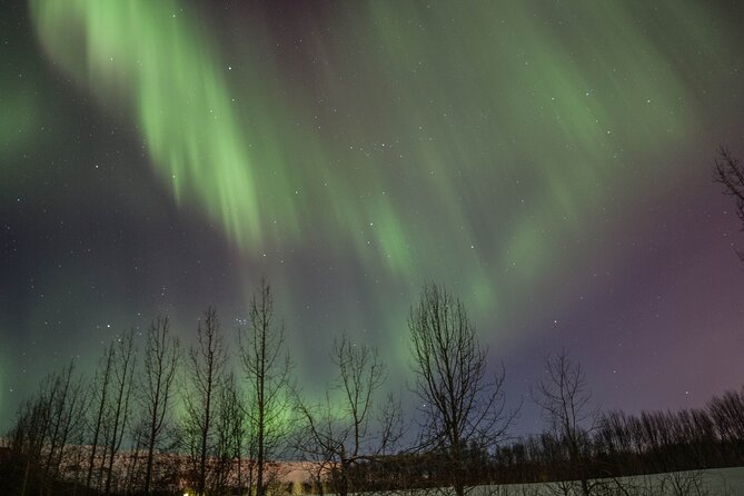 Northern Lights Classic MiniBus Tour from Akureyri - Price and value at $150.85