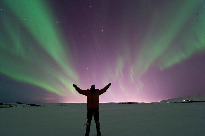 Northern Lights Guided Bus Tour from Reykjavik - The viewing stop is chosen by forecast, not by a fixed itinerary