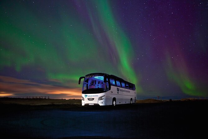 Northern Lights Guided Bus Tour from Reykjavik - Is the three-to-five-hour outing good value?