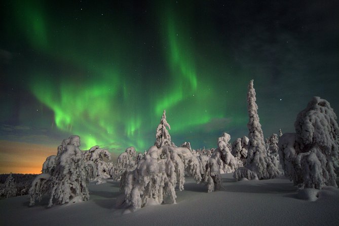 Northern Lights Hunt Including Snacks on Campfire from Levi - A fire, a dark sky, and a real aurora chance