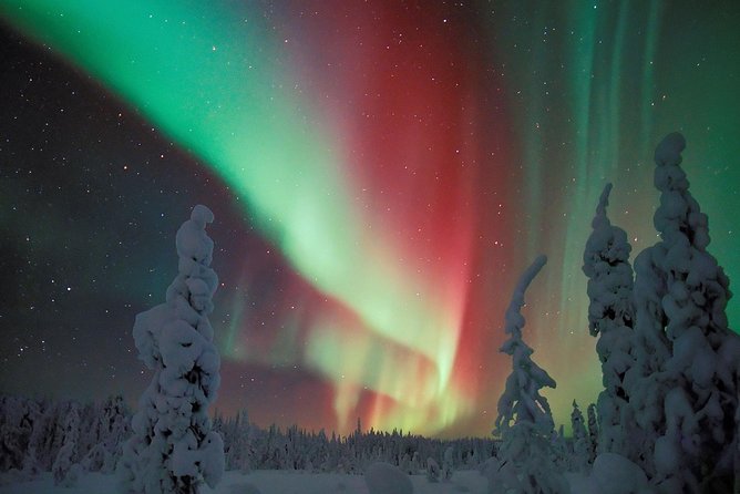 Northern Lights Hunt Including Snacks on Campfire from Levi - What the three-hour outing actually feels like