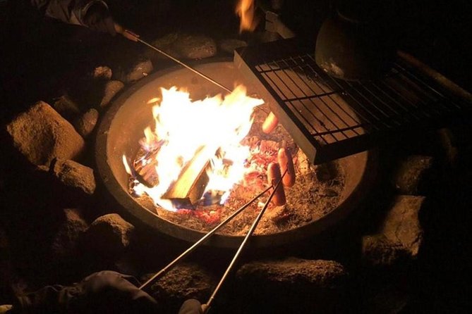 Northern Lights Hunt Including Snacks on Campfire from Levi - The campfire is the strongest part of the package