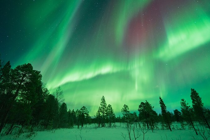 Northern Lights Hunt with The Green Adventure - photos included - Finding the right patch of clear sky