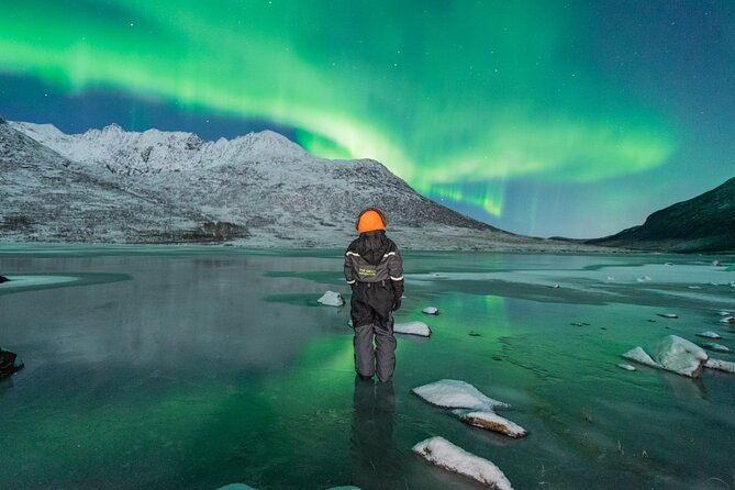 Northern Lights Hunt with The Green Adventure - photos included - The real value of the $225.64 price