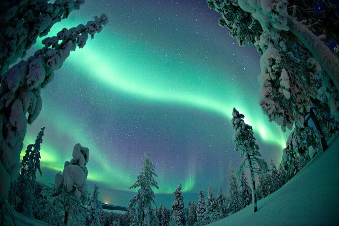 Northern Lights Hunting Photo Tour in Levi - Who Will Get the Most From This Tour?