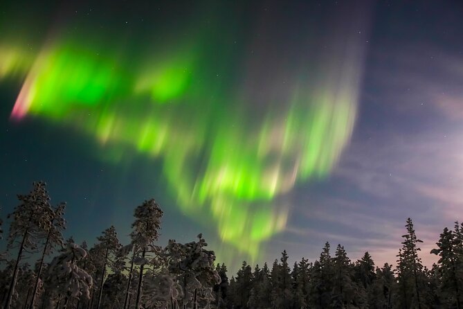 Northern Lights Hunting Photo Tour in Levi - Two or Three Stops, Depending on the Sky