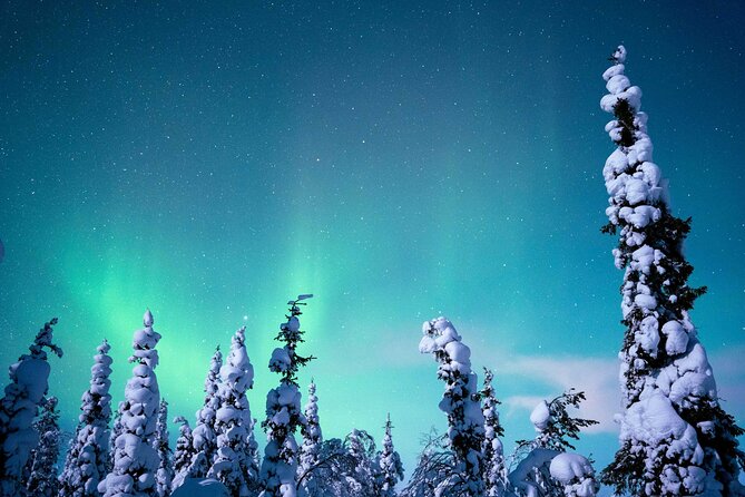 Northern Lights Hunting Photography Tour in Levi - The biggest risk: weather and unrealistic expectations