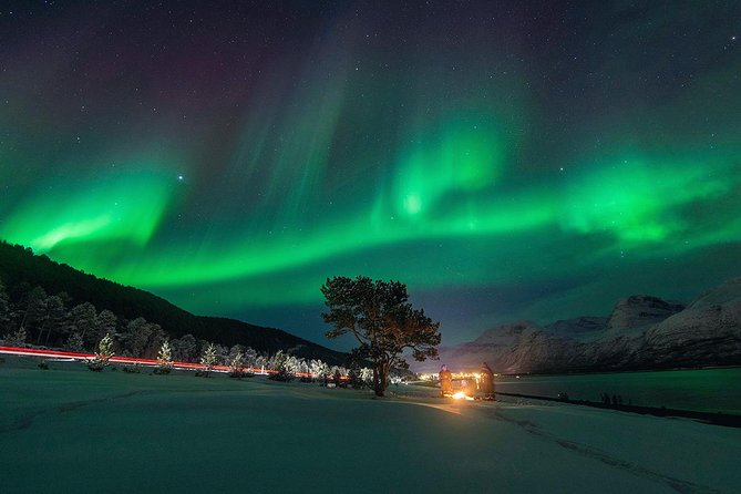 Northern Lights Minibus Chase from Tromsø with Chasing Lights - What the driving adds, and what it takes away