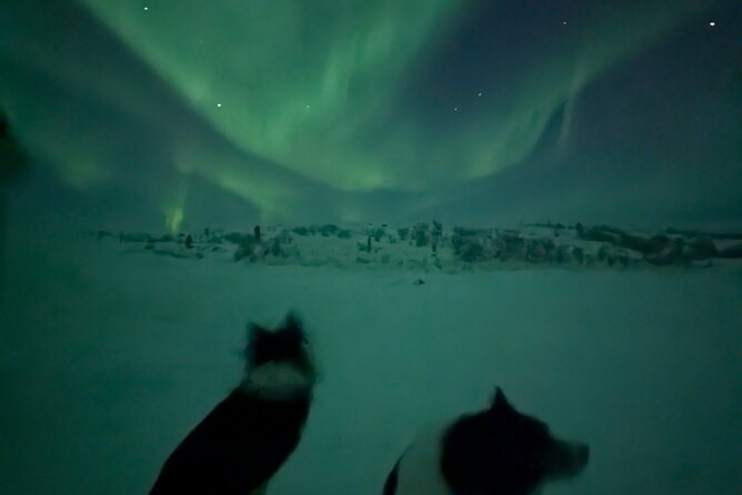 Northern Lights Minibus Chase Max 16 Person In Group - What the four-hour route can look like