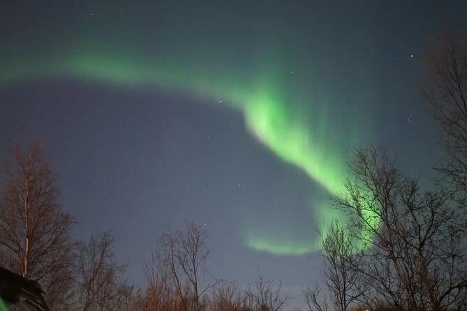 Northern Lights Minibus Chase Max 16 Person In Group - Who should book this northern lights chase