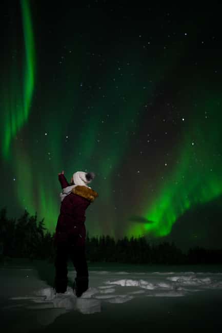 Northern Lights Reindeer Sledge Ride - A quiet introduction to Lapland by reindeer