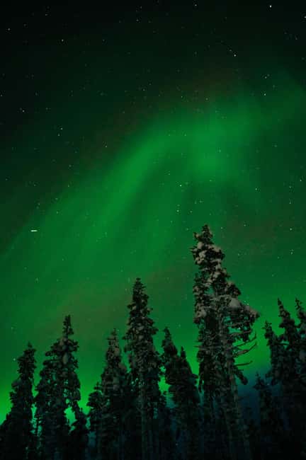 Northern Lights Reindeer Sledge Ride - From Rovaniemi to the meeting point