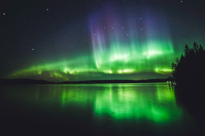 Northern Lights Rovaniemi: Guaranteed Viewing & Unlimited Mileage - Who will enjoy this aurora chase