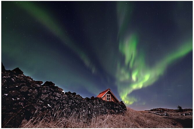 Northern Lights Small-Group Tour with Hot Chocolate & Photos - What the $172.41 price really buys you