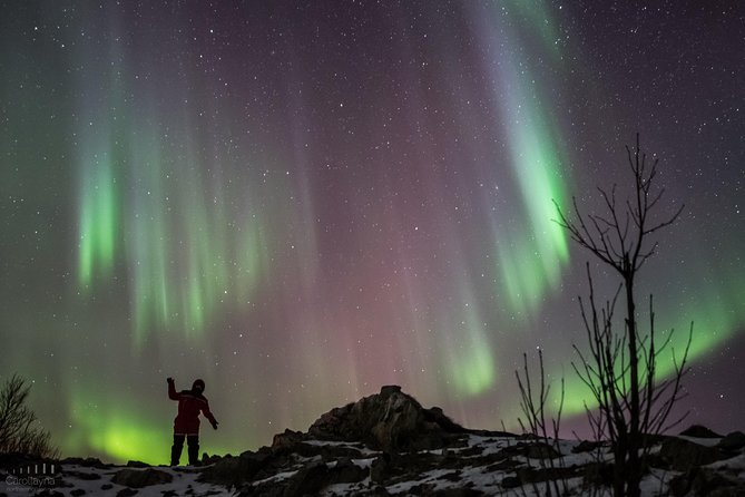 Northern Lights tour - All inclusive - Northern Horizon - Meeting at the Magic Ice Bar