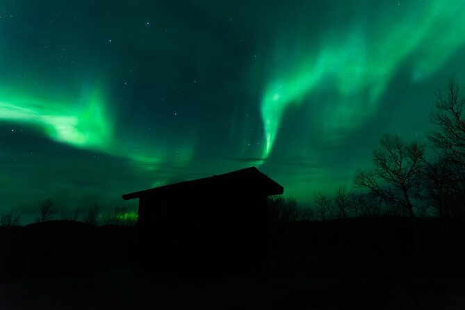 Northern Lights Tour from Kiruna to Abisko with Dinner - Chasing clear skies around Abisko